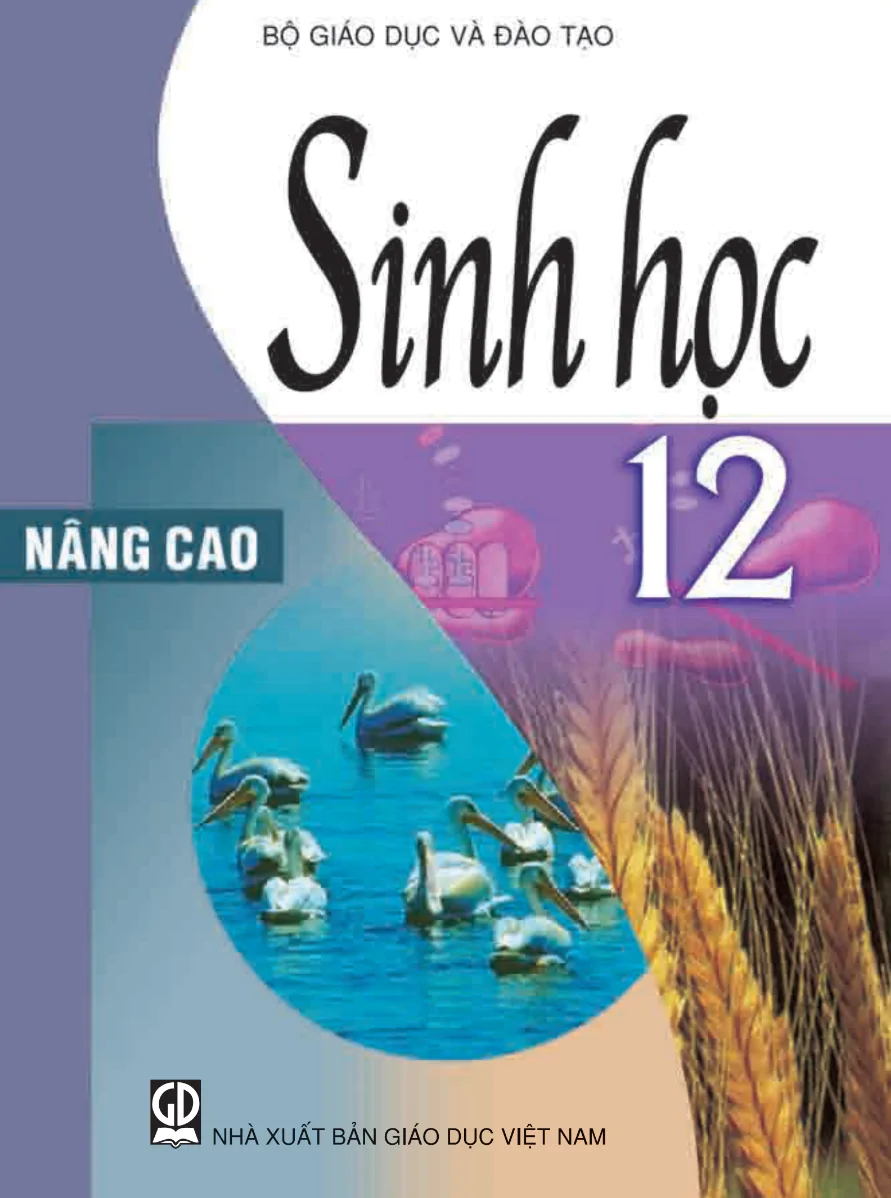 bai-giai-sinh-hoc-12-nang-cao-784