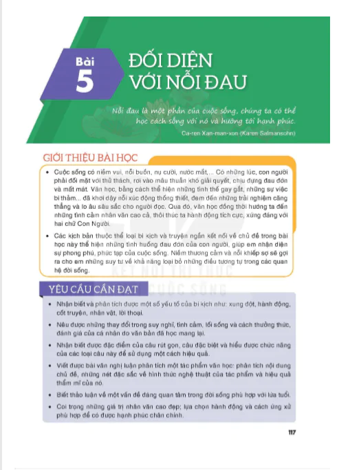 Bài 5 : Đối diện với nỗi đau