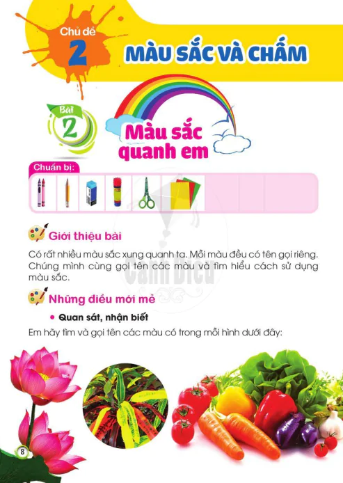 Chủ đề 2: MÀU SẮC VÀ CHẤM