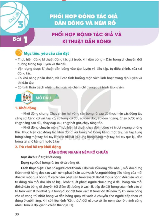 Chủ đề 3: Phối hợp động tác giả dẫn bóng và ném rổ