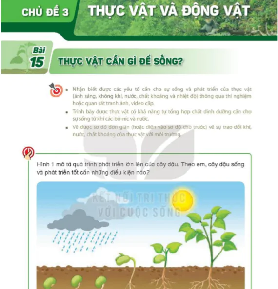 Chủ Đề 3: Thực Vật Và Động Vật