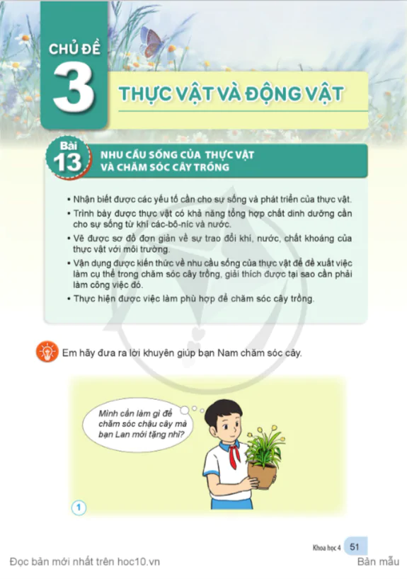 CHỦ ĐỀ 3: THỰC VẬT VÀ ĐỘNG VẬT