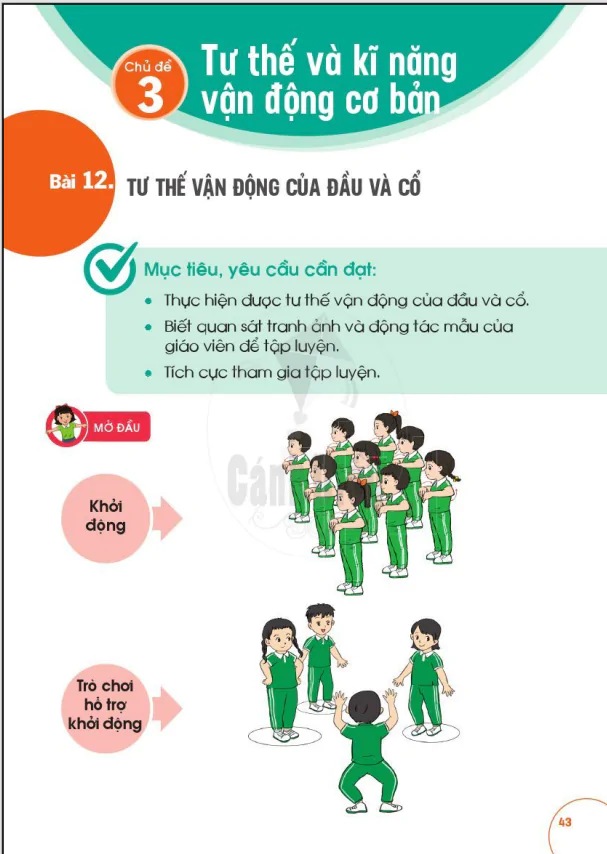 CHỦ ĐỀ 3: TƯ THẾ VÀ KĨ NĂNG VẬN ĐỘNG CƠ BẢN