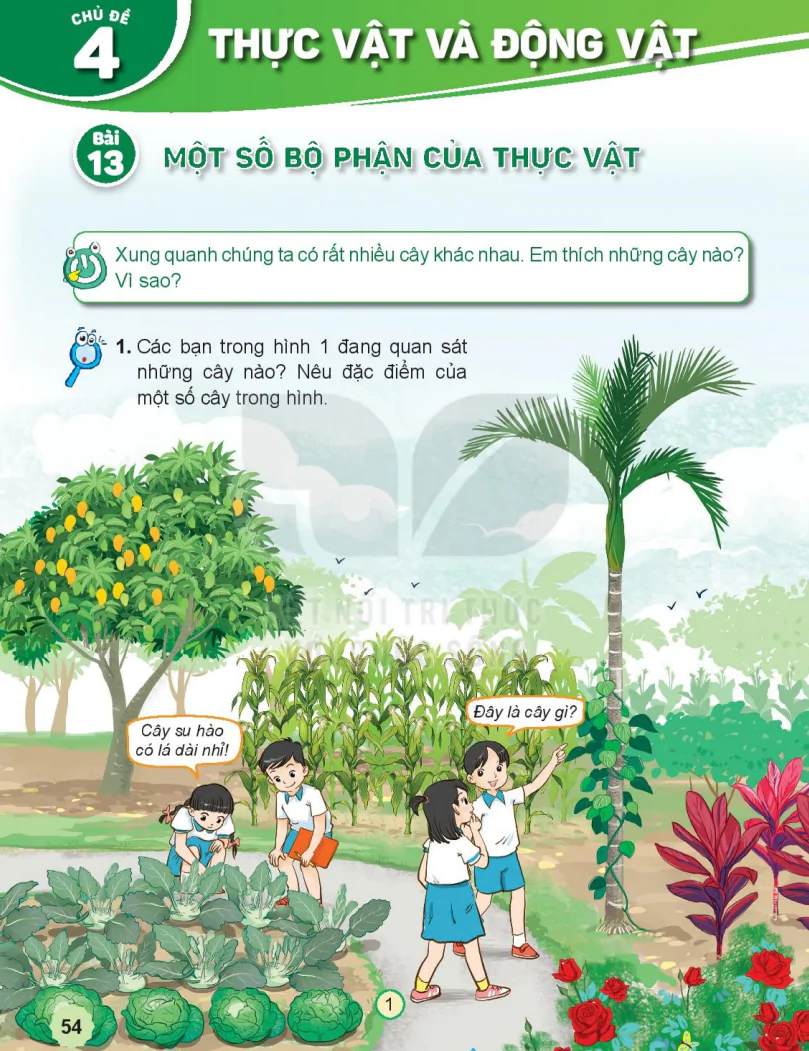 Chủ Đề 4: Thực Vật Và Động Vật