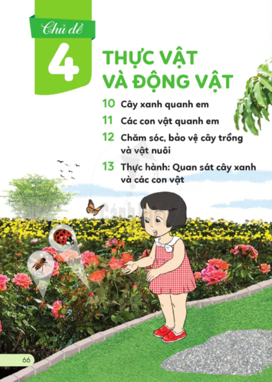 CHỦ ĐỀ 4: THỰC VẬT VÀ ĐỘNG VẬT