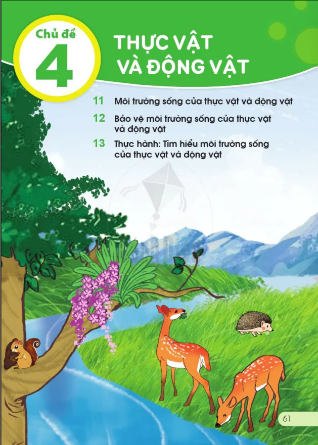 CHỦ ĐỀ 4: THỰC VẬT VÀ ĐỘNG VẬT