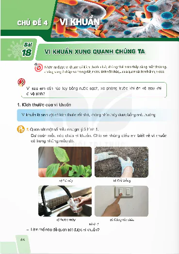 Chủ đề 4. Vi khuẩn