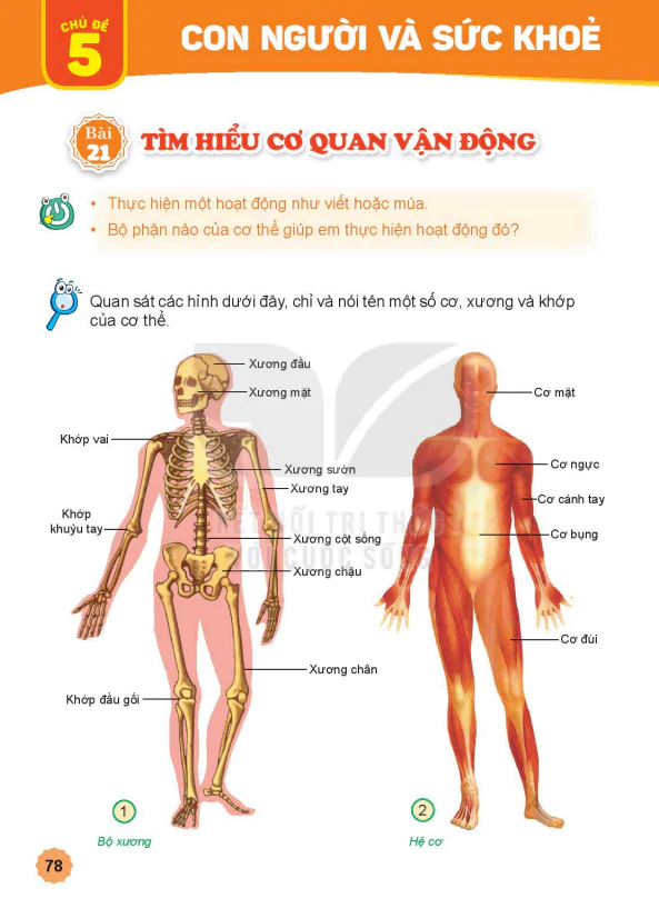 CHỦ ĐỀ 5: CON NGƯỜI VÀ SỨC KHỎE