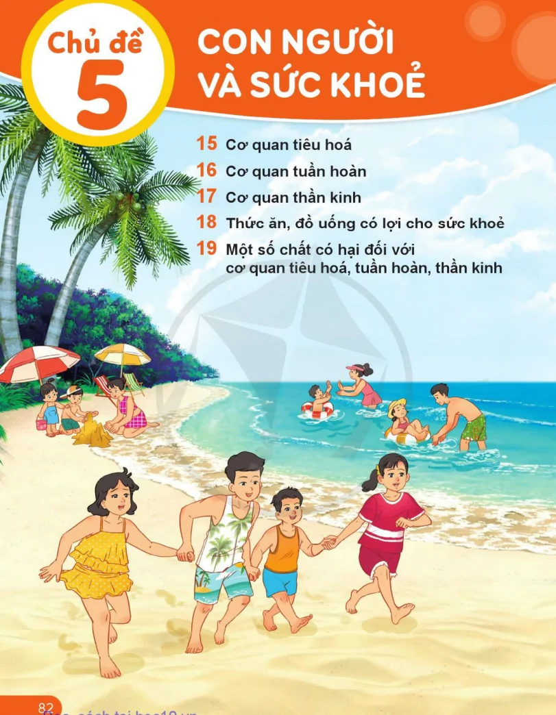 Chủ Đề 5: Con Người Và Sức Khỏe