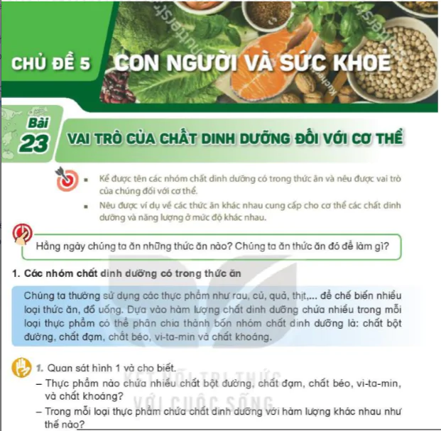 Chủ Đề 5: Con Người Và Sức Khỏe