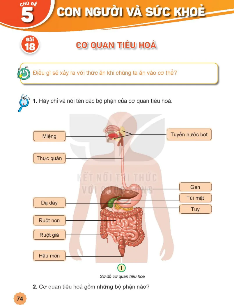 Chủ Đề 5: Con Người Và Sức Khỏe