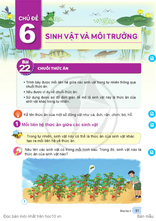 CHỦ ĐỀ 6: SINH VẬT VÀ MÔI TRƯỜNG 