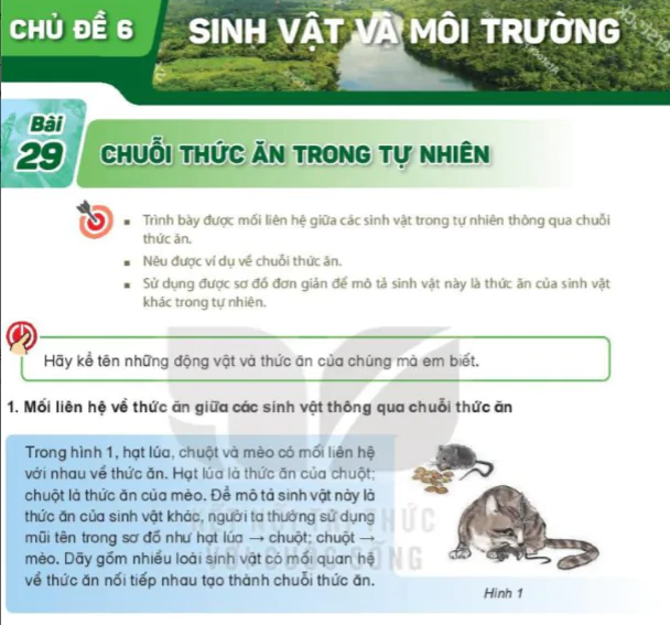 Chủ Đề 6: Sinh Vật Và Môi Trường