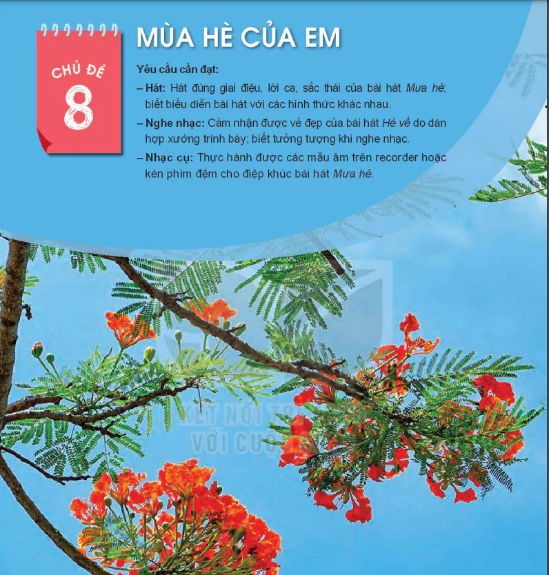 Chủ đề 8: MÙA HÈ CỦA EM