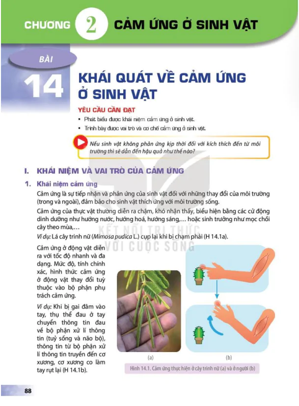 CHƯƠNG 2: CẢM ỨNG Ở SINH VẬT