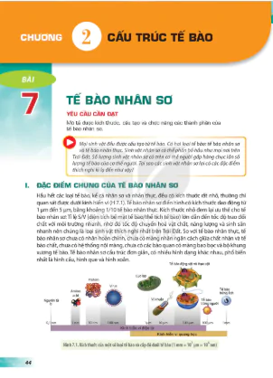 Phần một: Sinh học tế bào - Chương 2: Cấu trúc tế bào