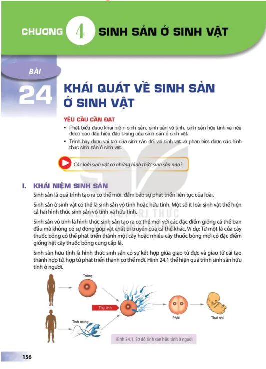 CHƯƠNG 4: SINH SẢN Ở SINH VẬT