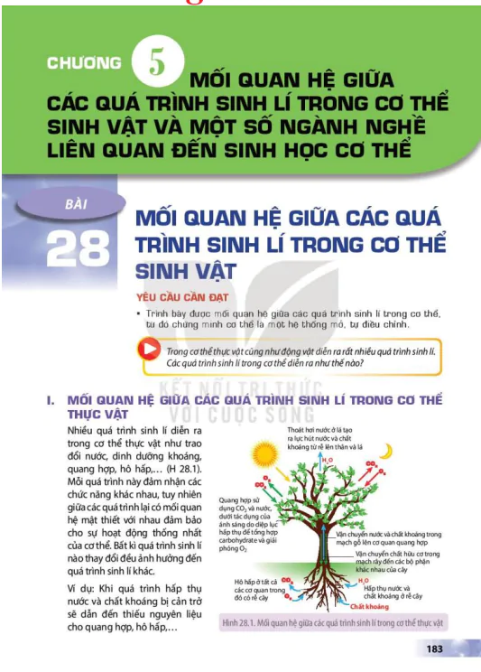 CHƯƠNG 5: MỐI QUAN HỆ GIỮA CÁC QUÁ TRÌNH SINH LÍ TRONG CƠ THỂ SINH VẬT VÀ MỘT SỐ NGÀNH NGHỀ LIÊN QUAN ĐẾN SINH HỌC CƠ THỂ
