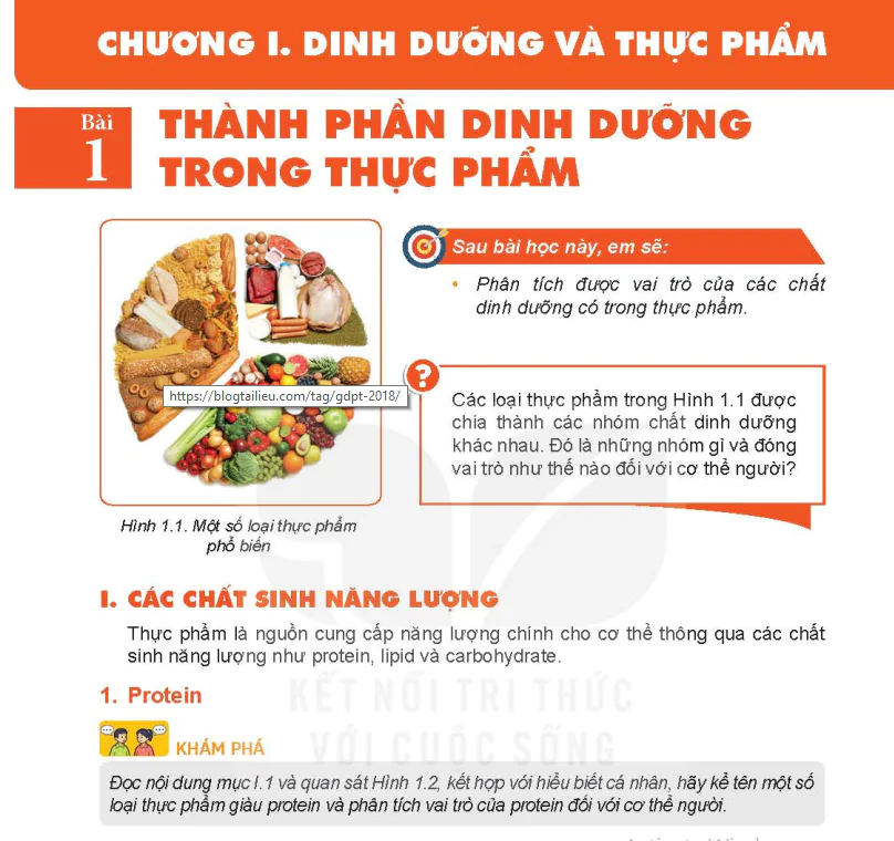 Chương I: Dinh dưỡng và thực phẩm