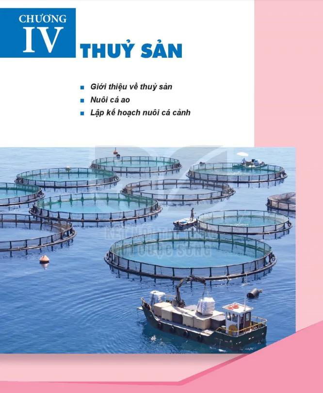 Chương IV: Thủy sản