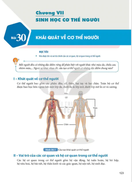 Chương VII : Sinh học cơ thể người