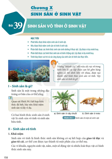 Chương X: SINH SẢN Ở SINH VẬT