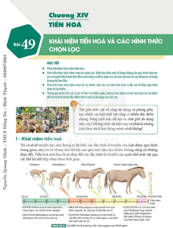 Chương XIV. TIẾN HÓA