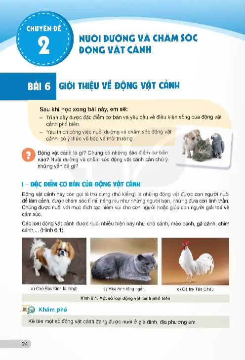 Chuyên Đề 2: Nuôi Dưỡng Và Chăm Sóc Động Vật Cảnh