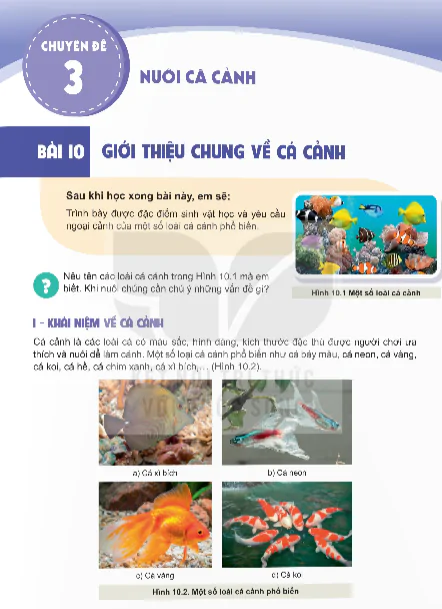 Chuyên Đề 3: Nuôi Cá Cảnh