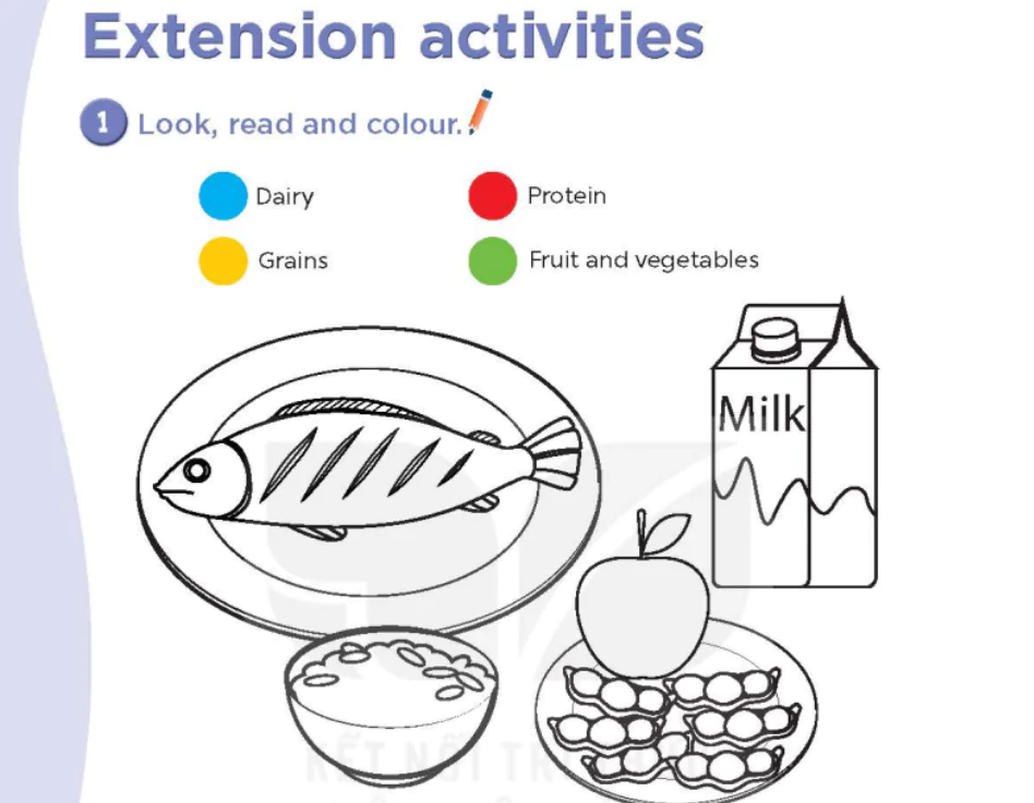 Extension activities - Review 3