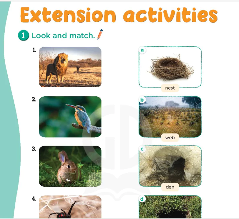 Extension activities - Review 4