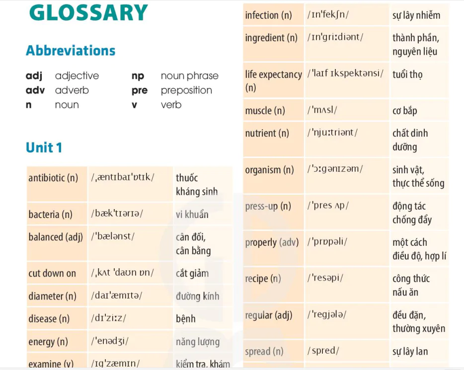 Glossary