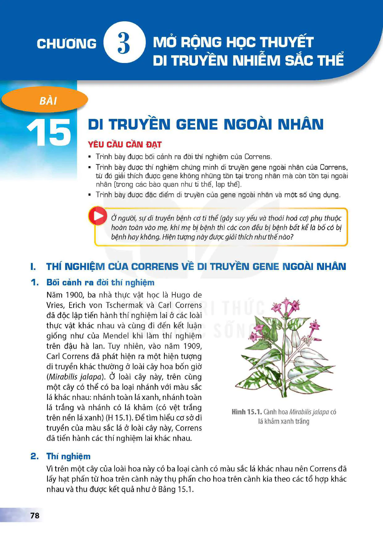Phần bốn. Di truyền học - Chương III: Mở rộng học thuyết Di truyền Nhiễm sắc thể