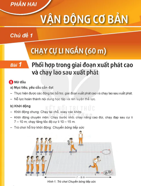 Phần hai: Vận động cơ bản