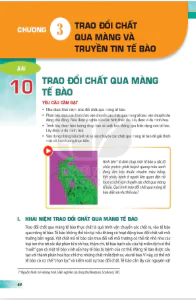Phần một: Sinh học tế bào - Chương 3: Trao đổi qua màng và truyền tin tế bào
