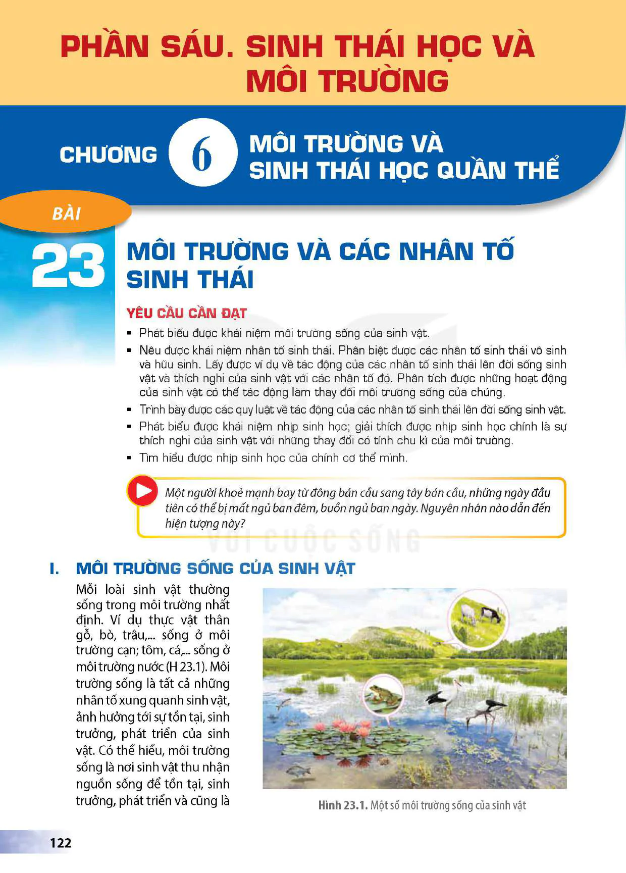 Phần sáu. Sinh thái học và môi trường - Chương VI: Môi trường và sinh thái học quần thể