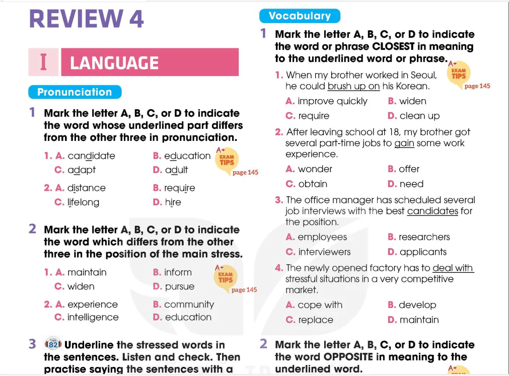 Review 4