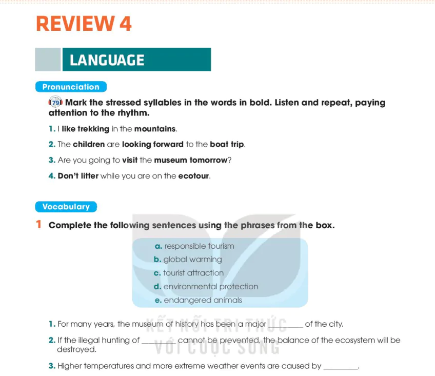 Review 4