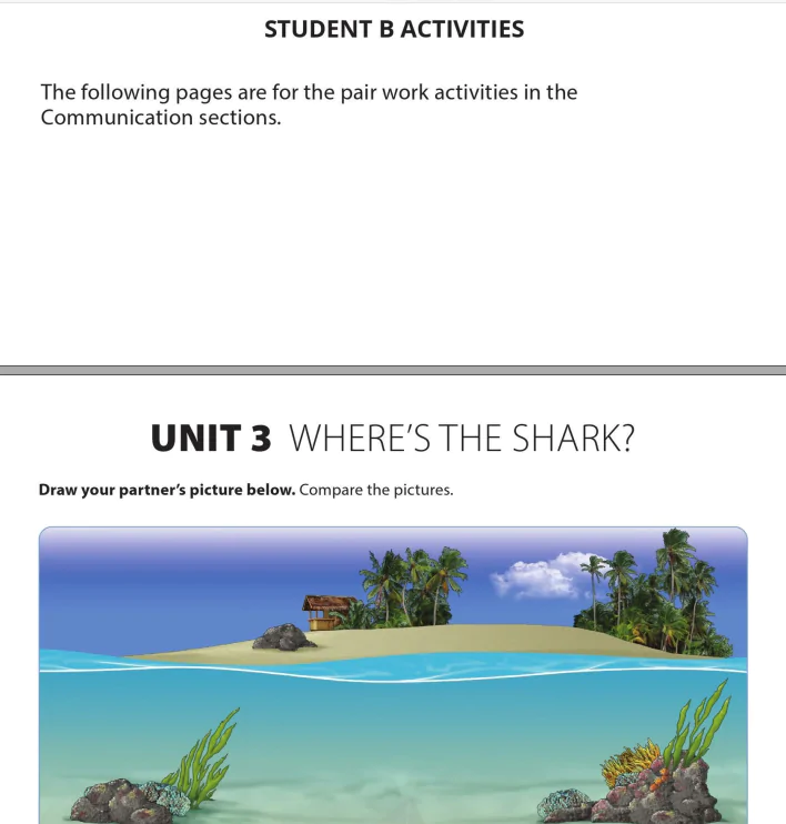 Student B Activities