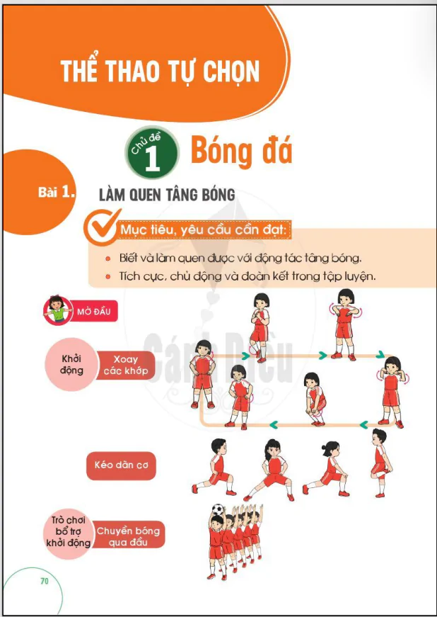 THỂ THAO TỰ CHỌN: CHỦ ĐỀ 1. BÓNG ĐÁ