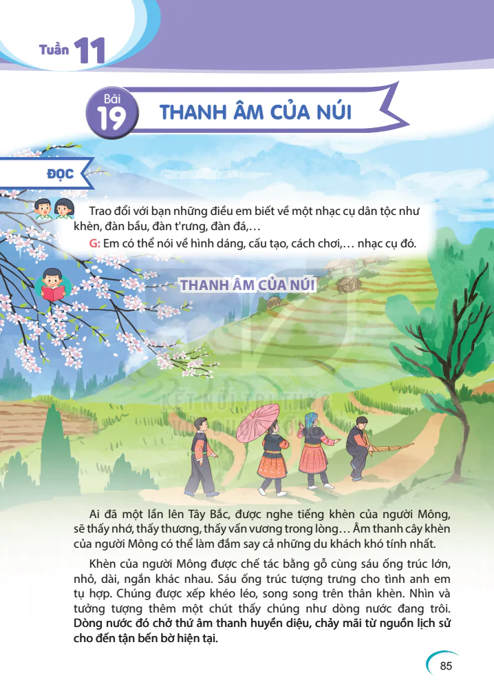 Tuần 11