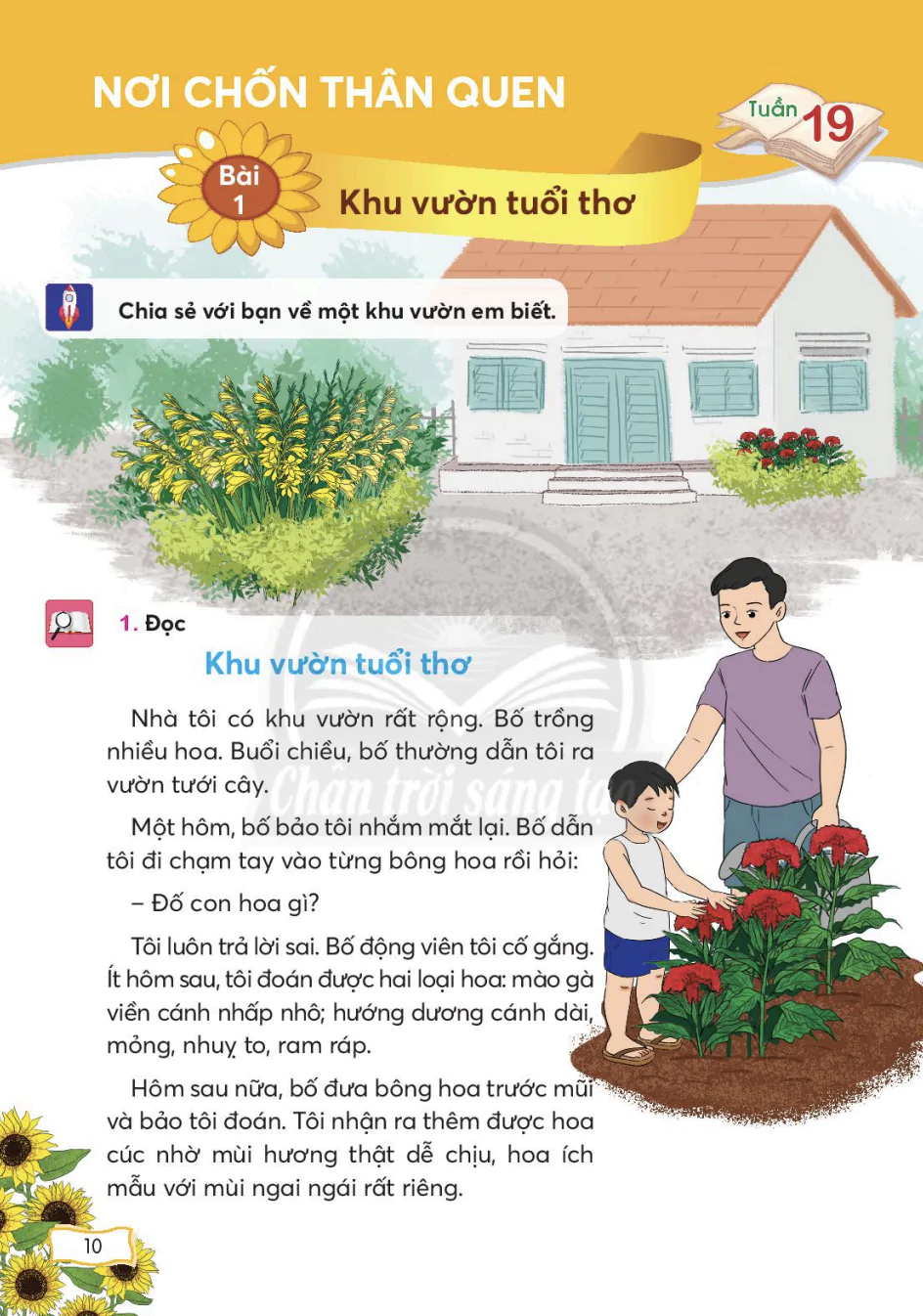 Tuần 19: Nơi chốn thân quen