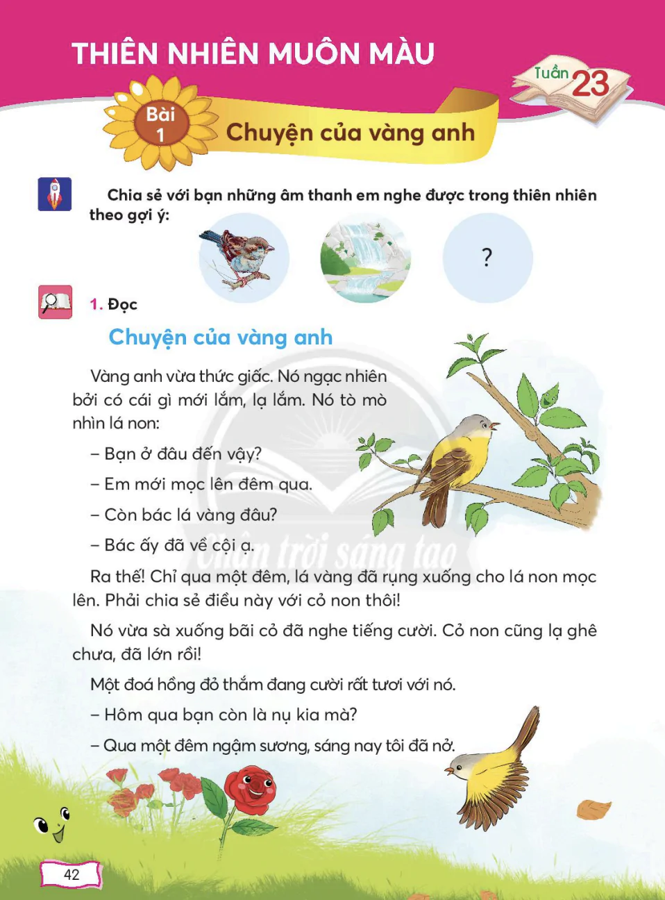 Tuần 23: Thiên nhiên muôn màu