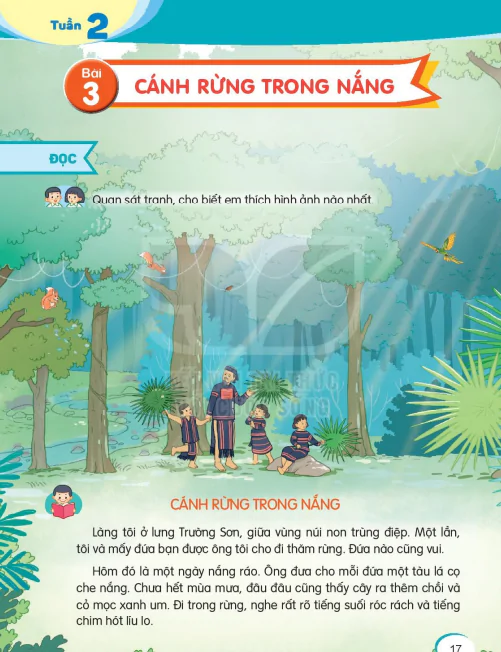 Tuần 2