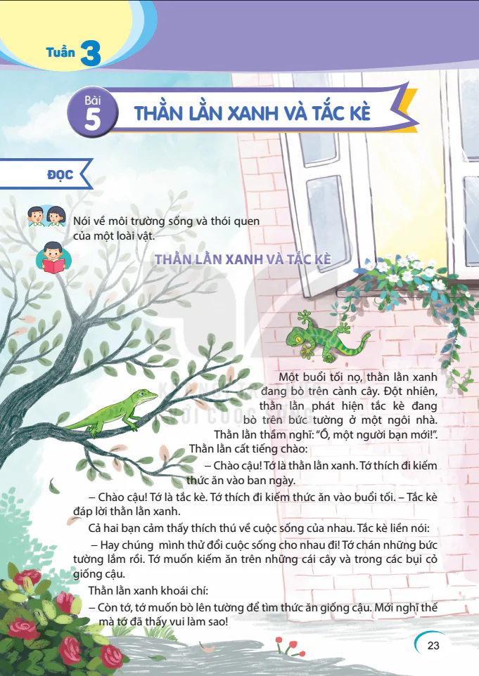 Tuần 3