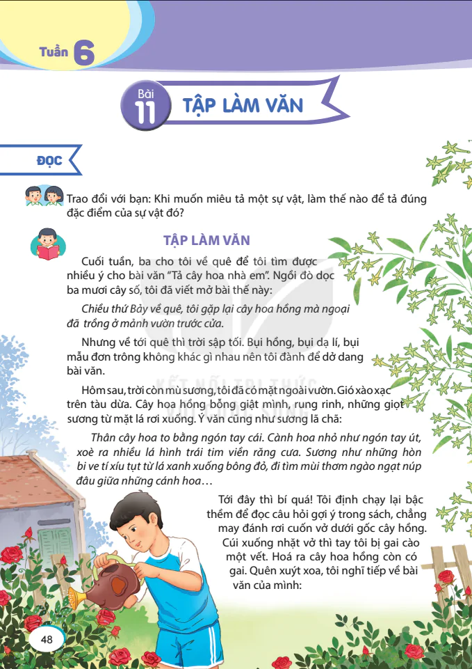 Tuần 6