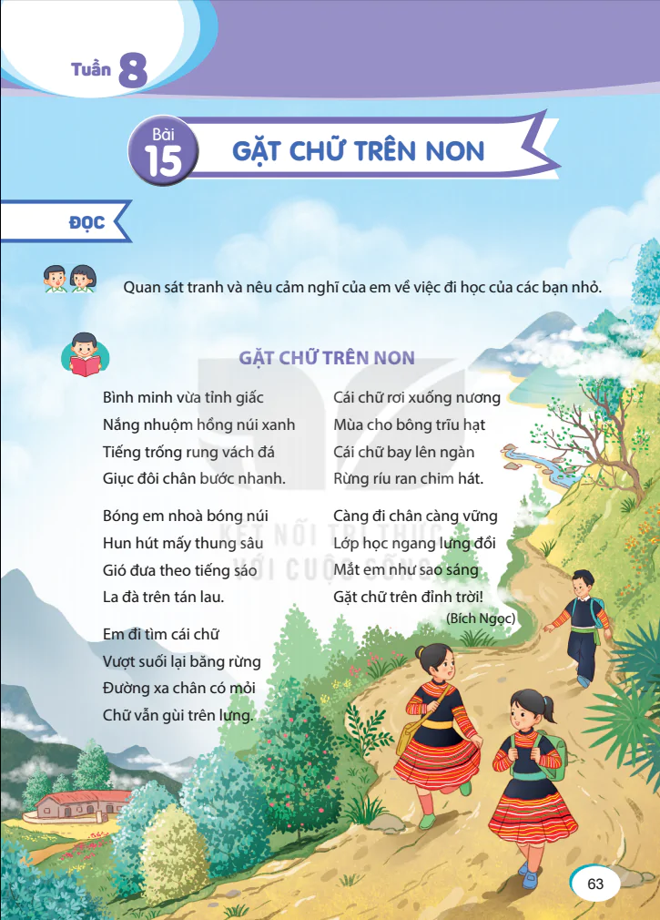 Tuần 8