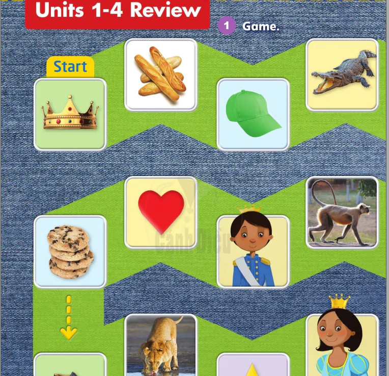 Unit 1-4 Review