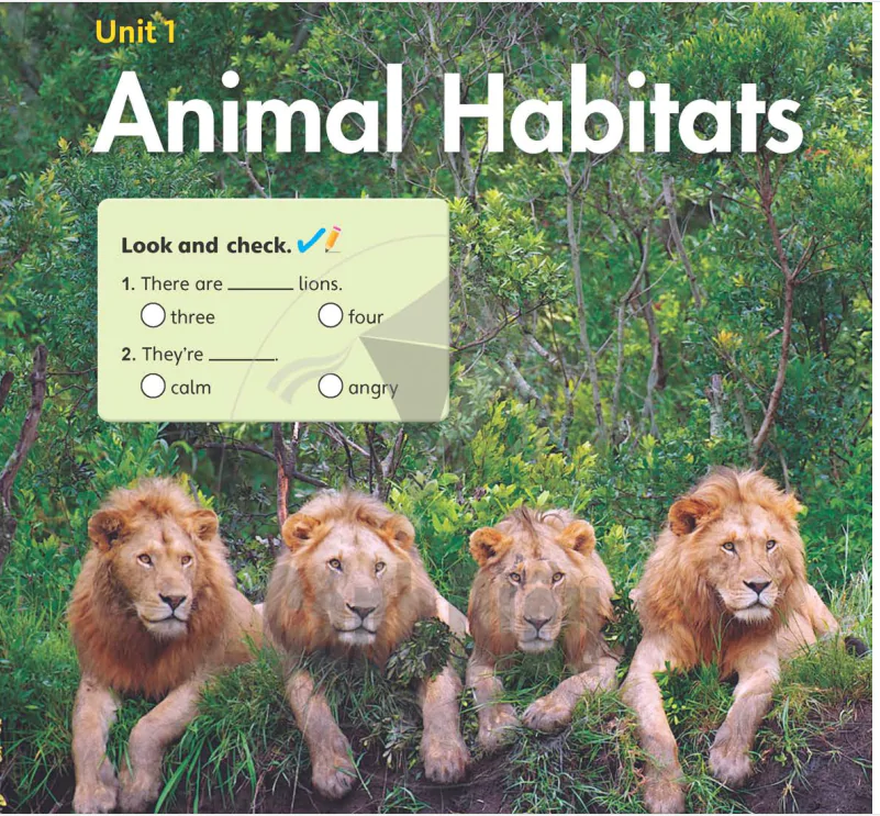 Unit 1: Animal Habitats