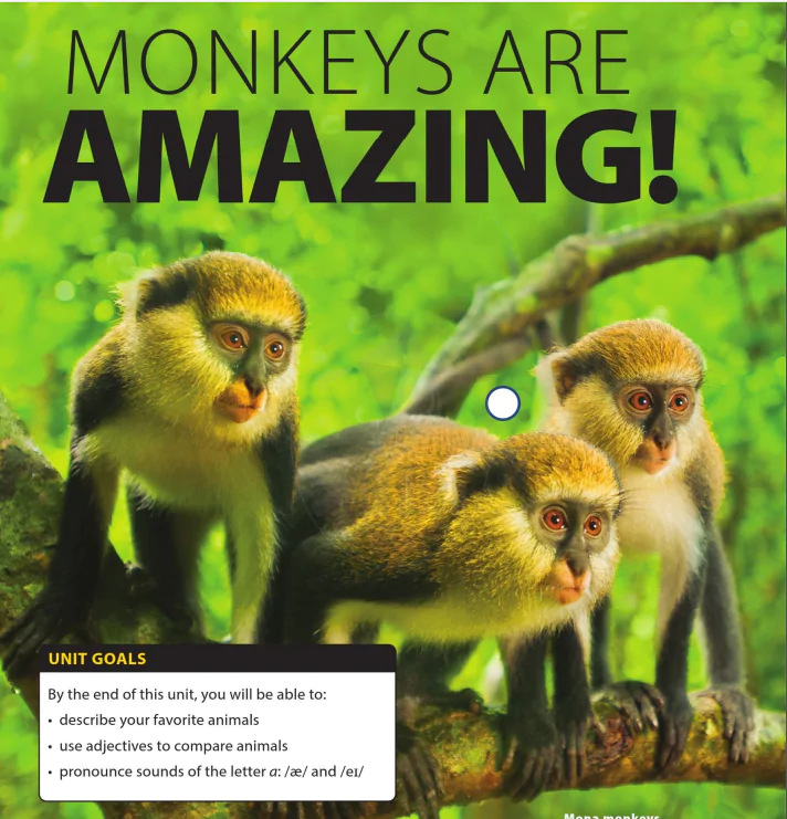 Unit 2: Monkey are amazing!